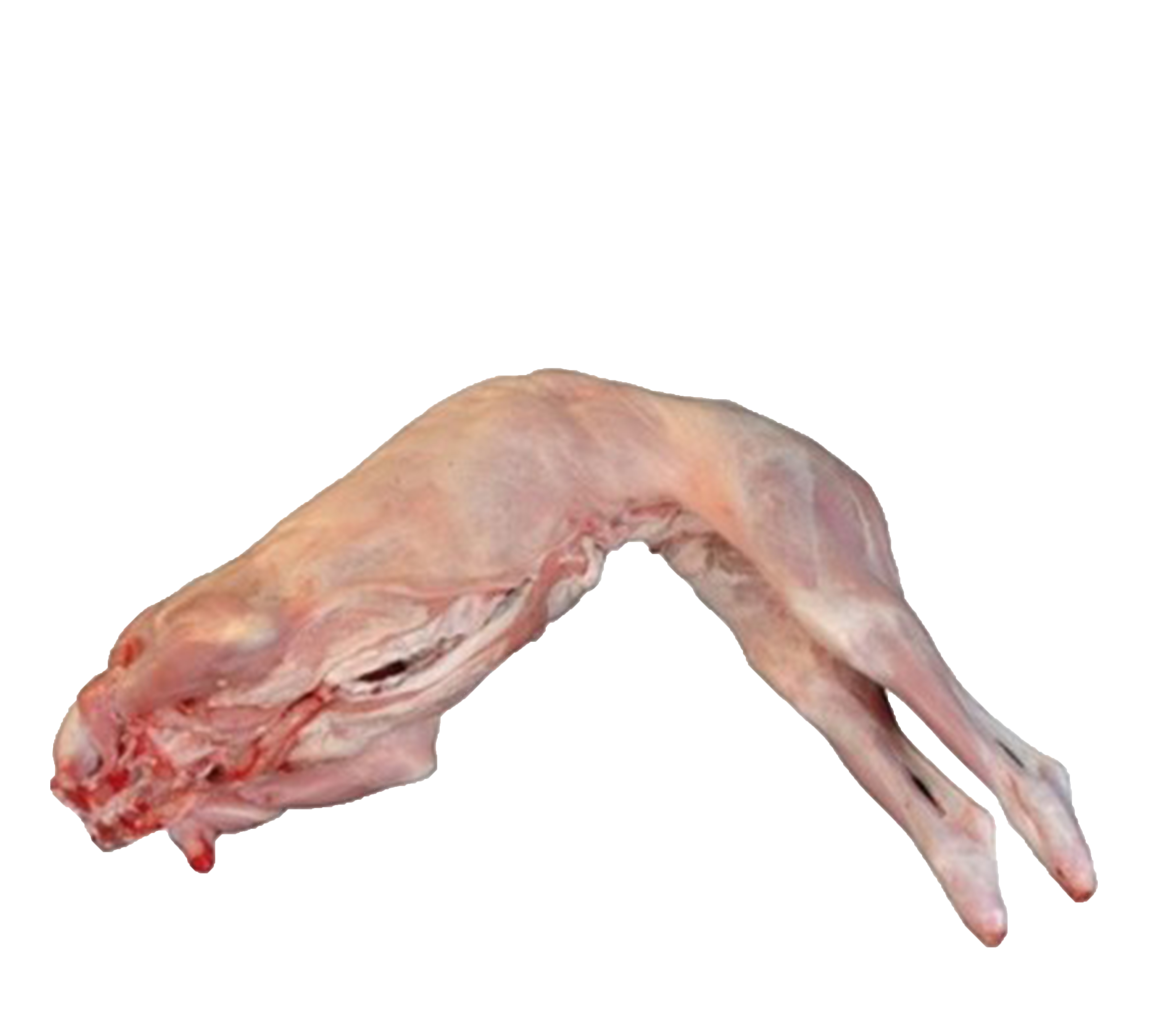 CAPRETTO SANS TETE - CHEVREAU AVEC ABATS