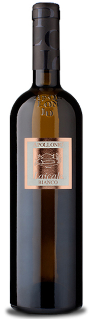 LAICALE CHARDONNAY 75CL