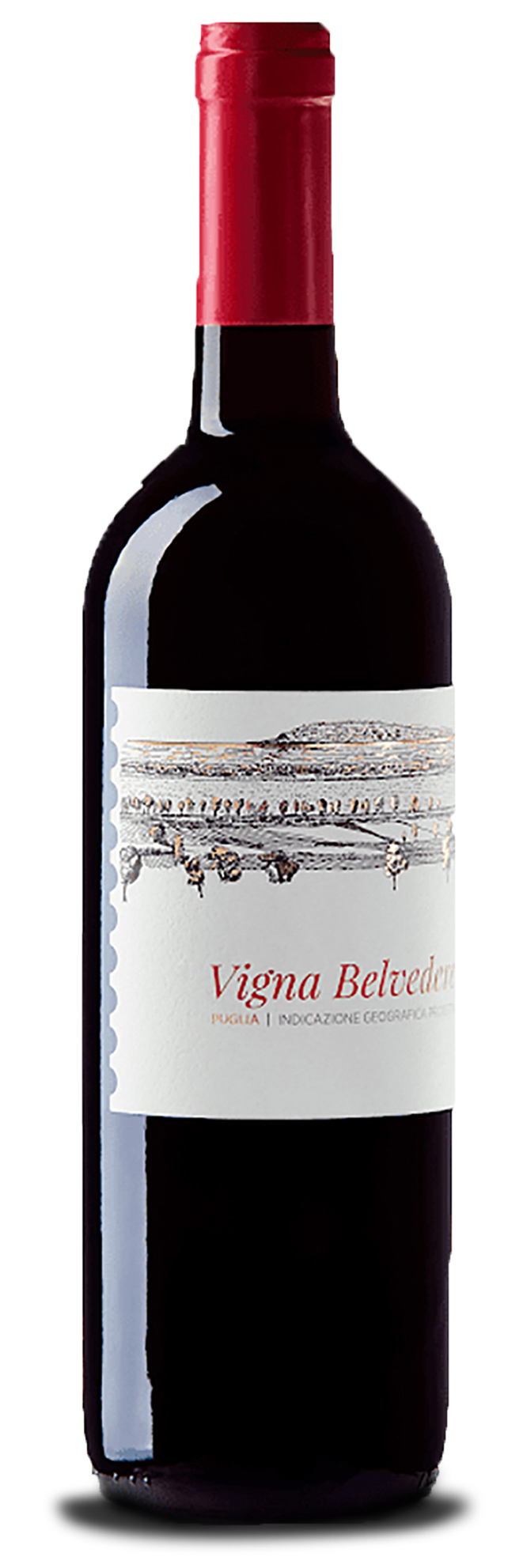 NERO DI TROIA IGP PUGLIA 75CL