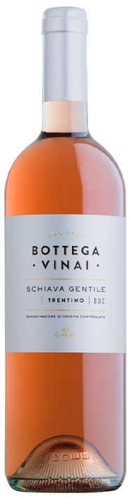SCHIAVA GENTILE ROSATO 75CL DOC TRENTINO