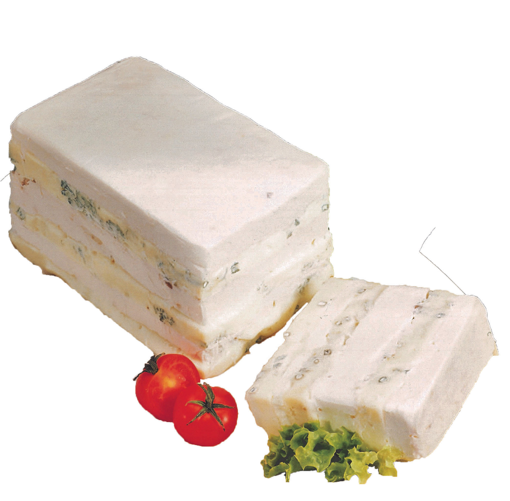GORGONZOLA ET MASCARPONE 1.3 KG-CAPRICCIO