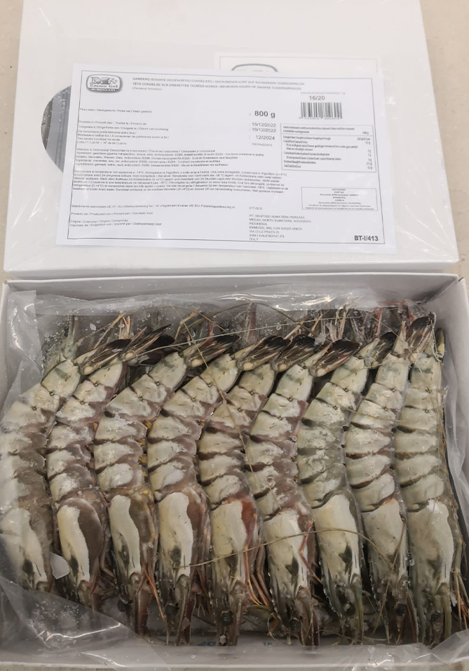 GAMBAS ENTIER 16/20 BLACK TIGER 800 GR
