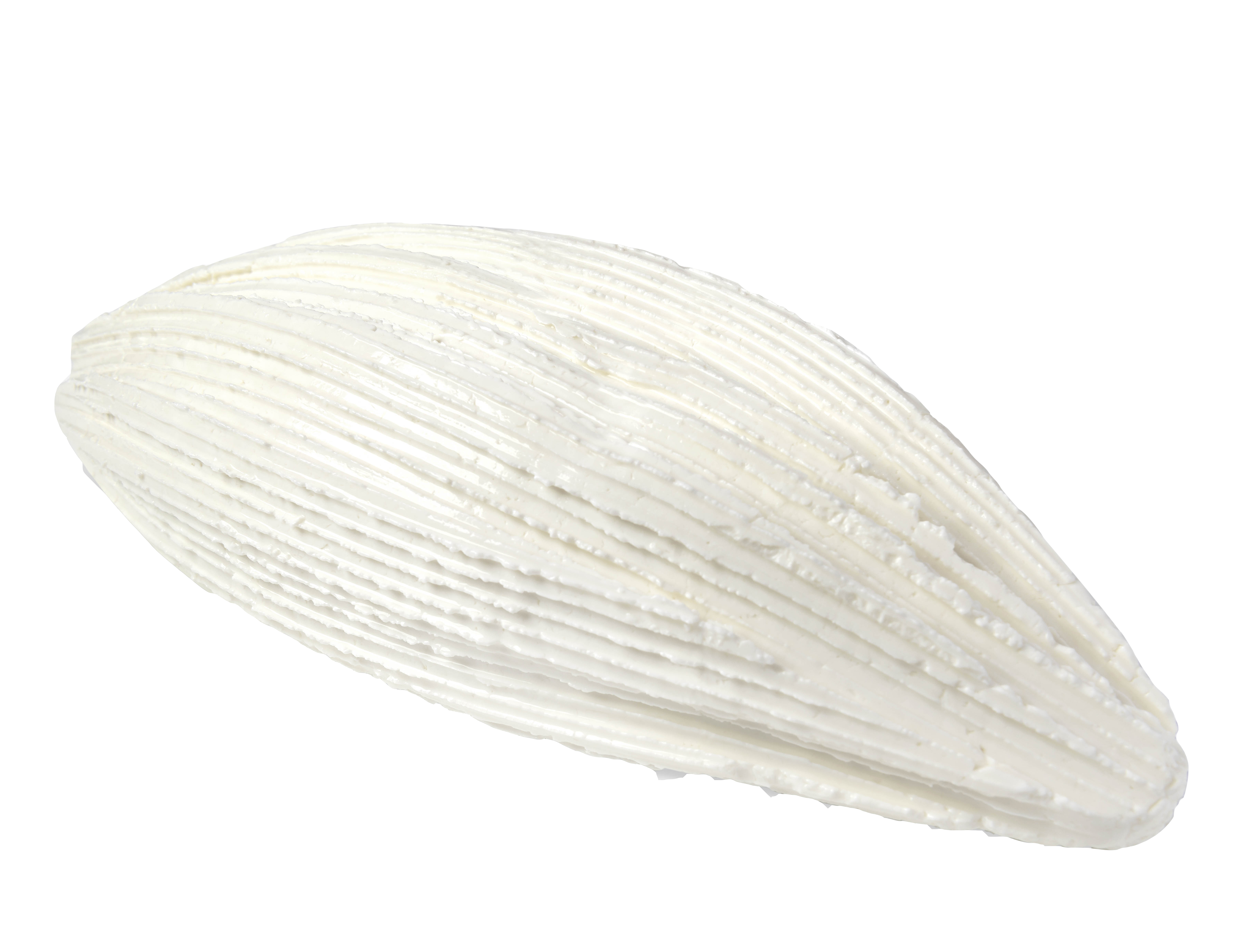 GIUNCHELLA 1.6KG