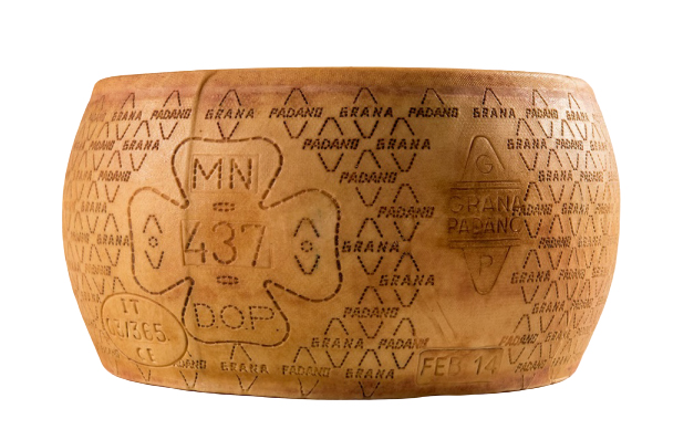 GRANA PADANO 10 MOIS FORME 39KG DOP