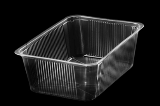 RAVIER POLYPROPYLENE 260X190X95 X 115 PC
