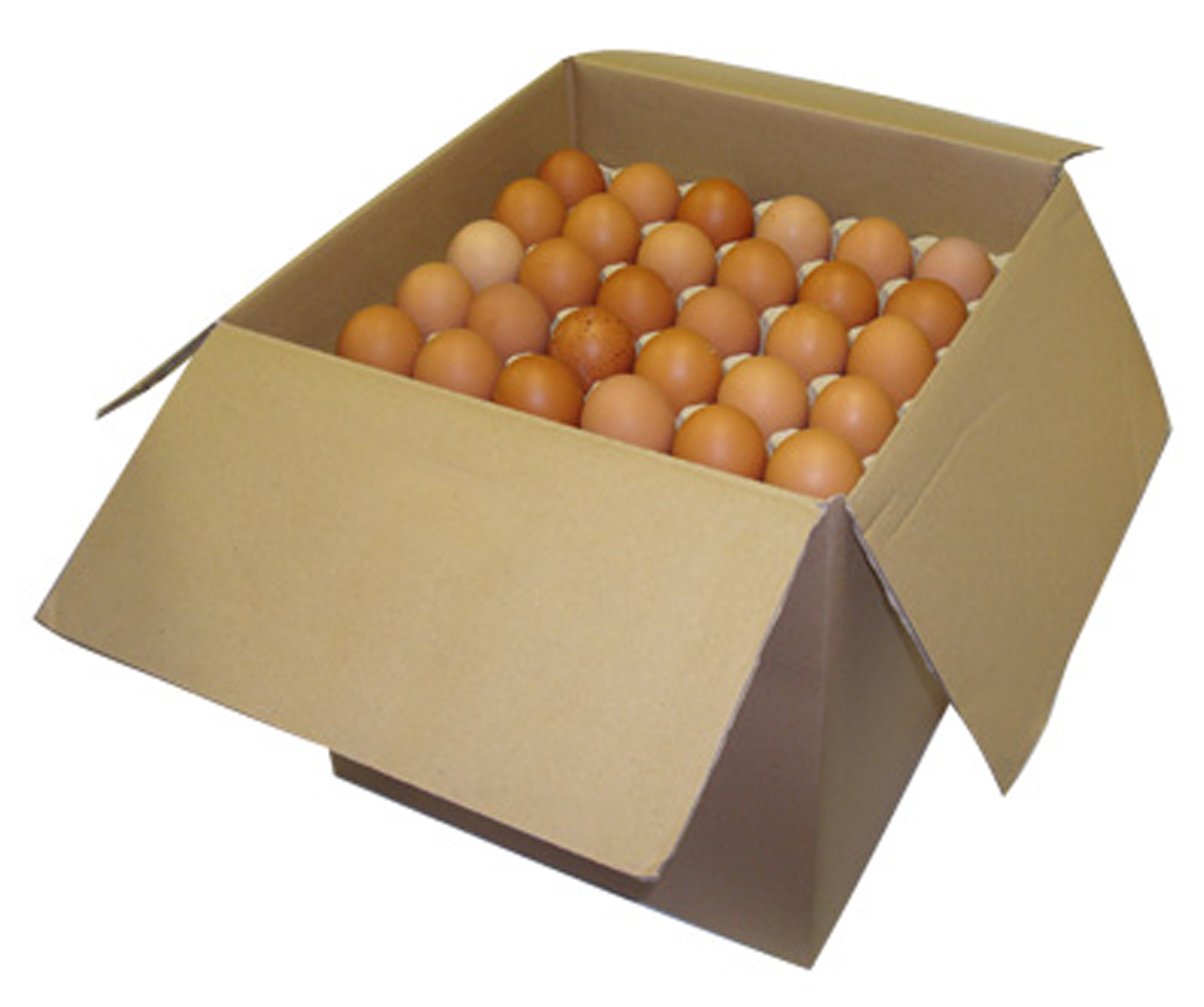 OEUFS X180 VRAC - L - CAT A