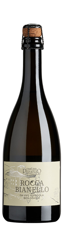 ROCCA BIANELLO SPERGOLA DOC BIANCO 11%