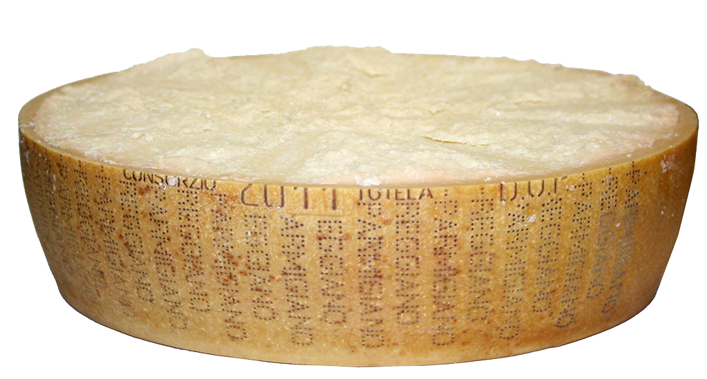 REGGIANO 1/2 FORME HOR 17KG - 22MOIS