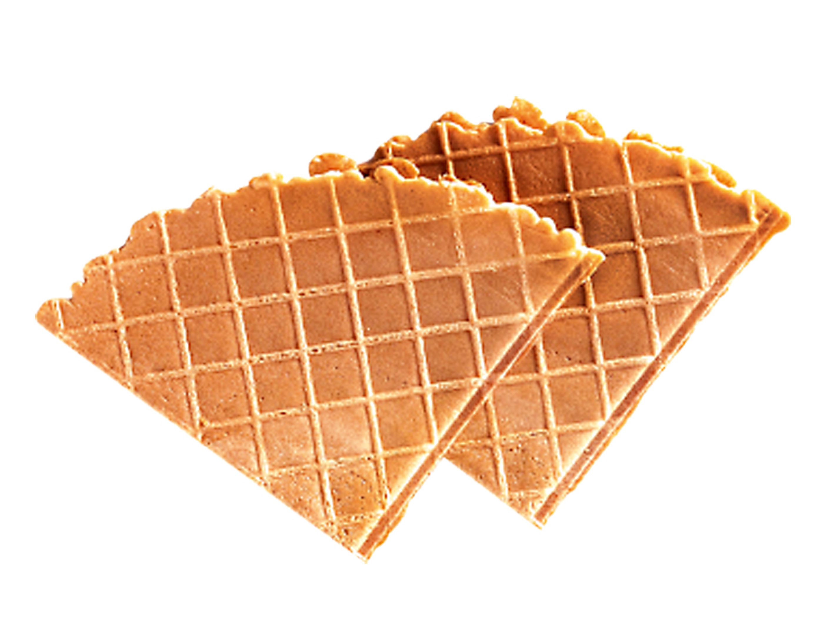 BISCUITS EVENTAIL DOUBLE 250 PCE