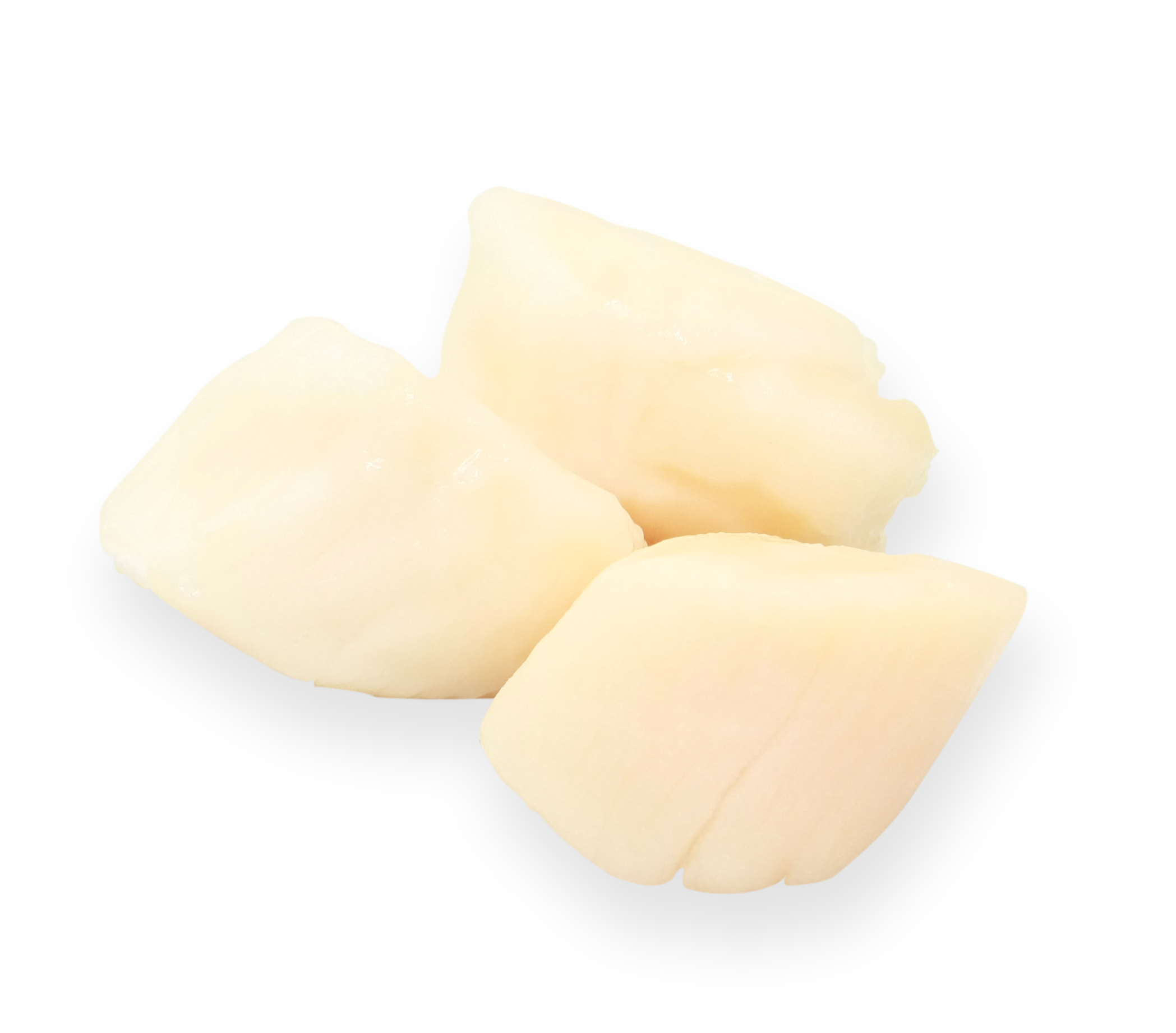 NOIX DE ST JACQUES 10/20SANS CORAIL CRU IQF800G
