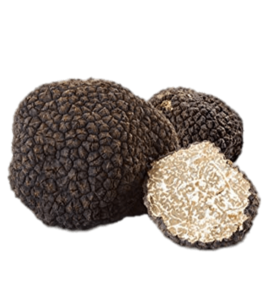 TRUFFE FR ETE - TUBER SCORZONE (P)