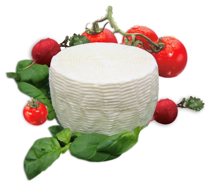 TUMA 1,2KG SV
