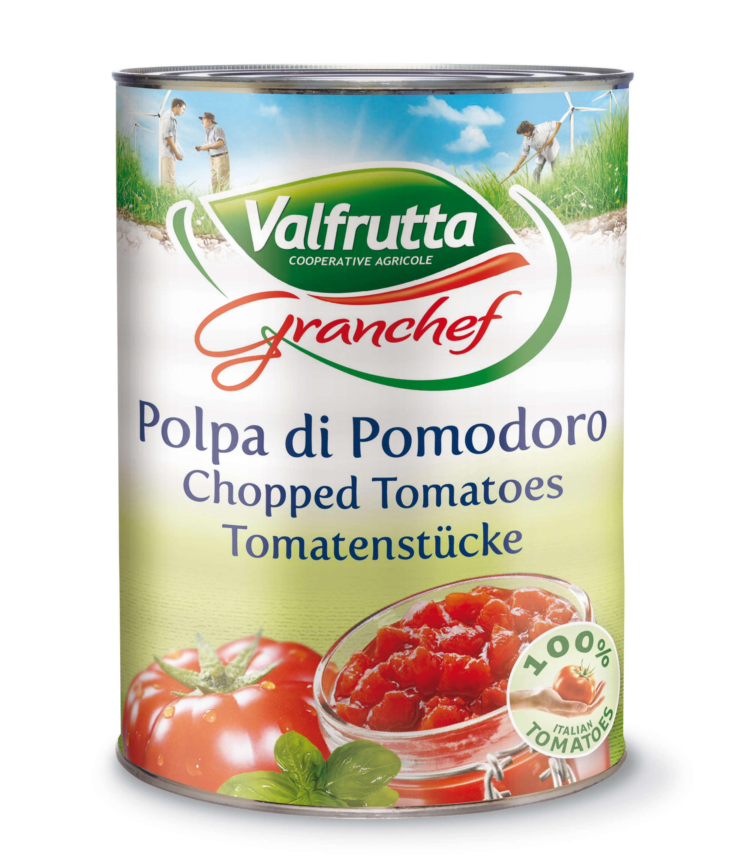 POLPA FINE 4.05KG TOM PEL CONCASSEES