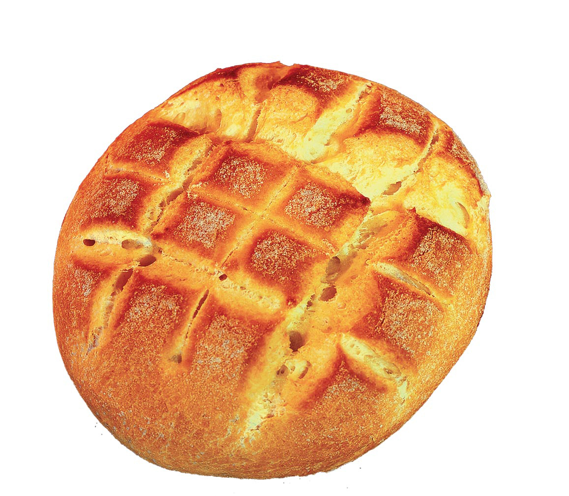 TARTARUGA PETITS PAINS +/- 50G (4KG) VRAC