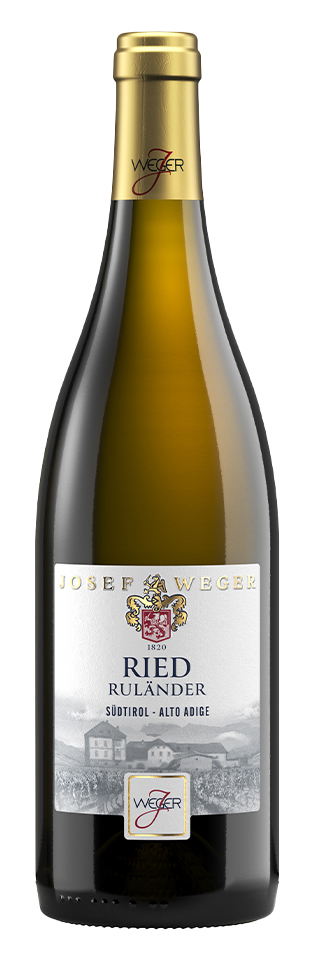 PINOT GRIGIO RULANDER DOC RIED - 75 CL-13%