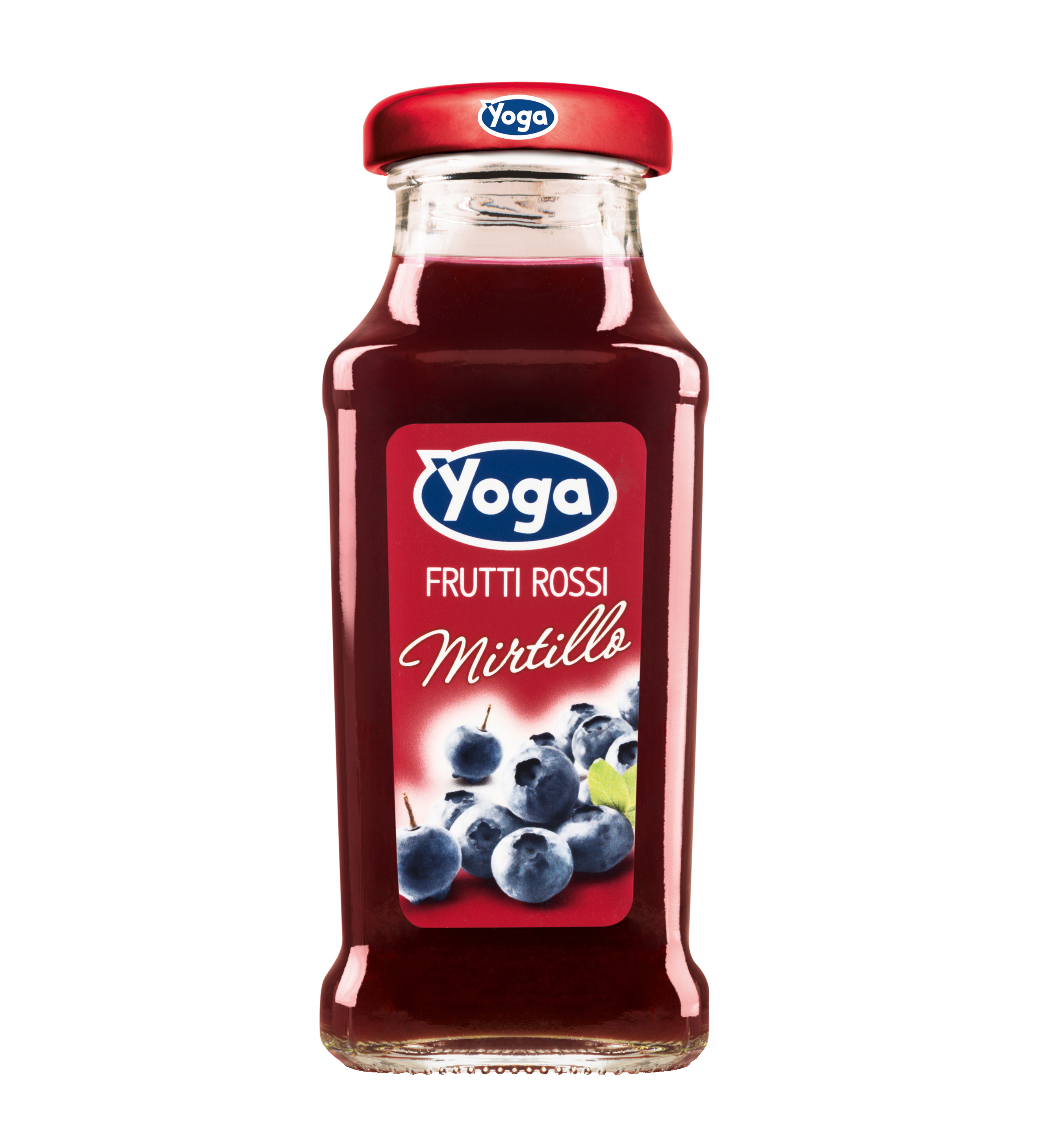 JUS NECTAR MYRTILLE 200ML